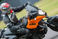 Lower Group Orange Bikes